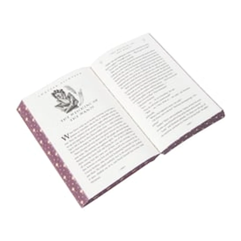 Harry Potter And The Goblet Of Fire Book