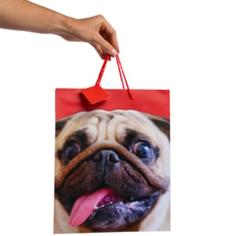 Baby Animal Large Gift Bags