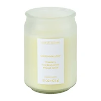 Clean Girl Collection Scented Candle 15oz