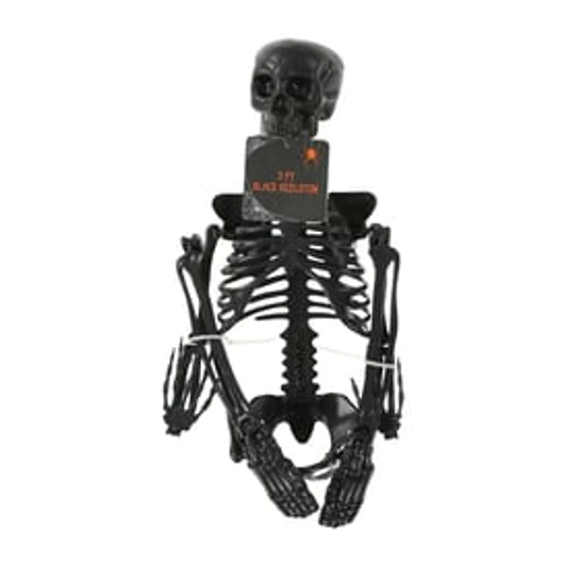 Posable Skeleton
