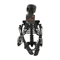 Posable Skeleton