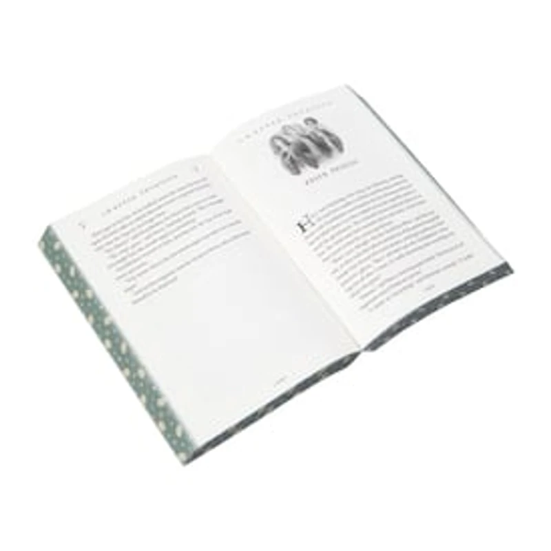 Harry Potter And The Half-Blood Prince Book