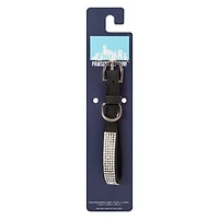 Pawsitively Fun! Jewel Pet Collar