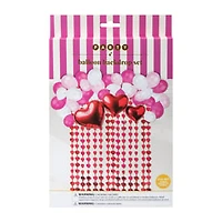 Valentine's Day Party Balloon Backdrop Set