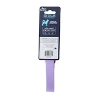 Pawsitively Fun! Pet Collar