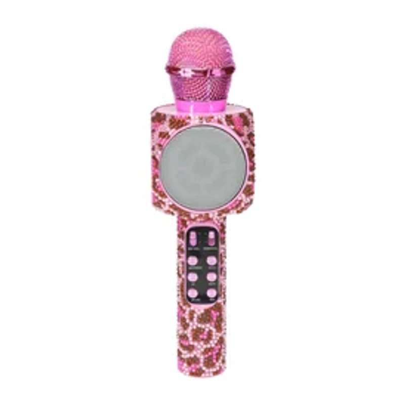 Karaoke Microphone
