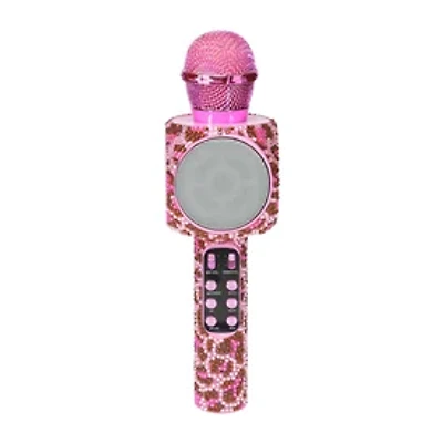 Karaoke Microphone