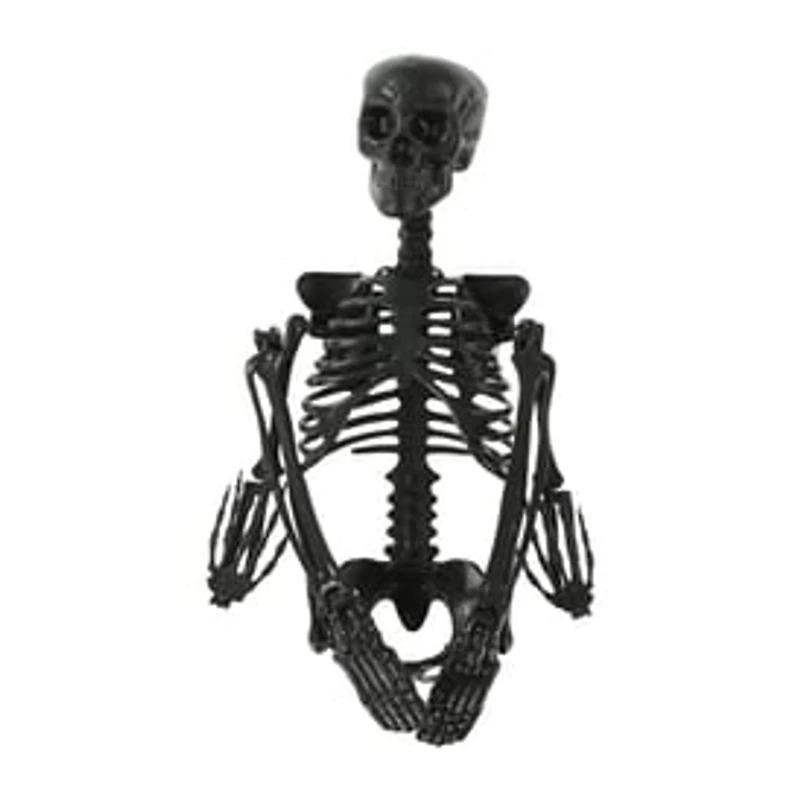 Posable Skeleton