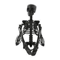 Posable Skeleton