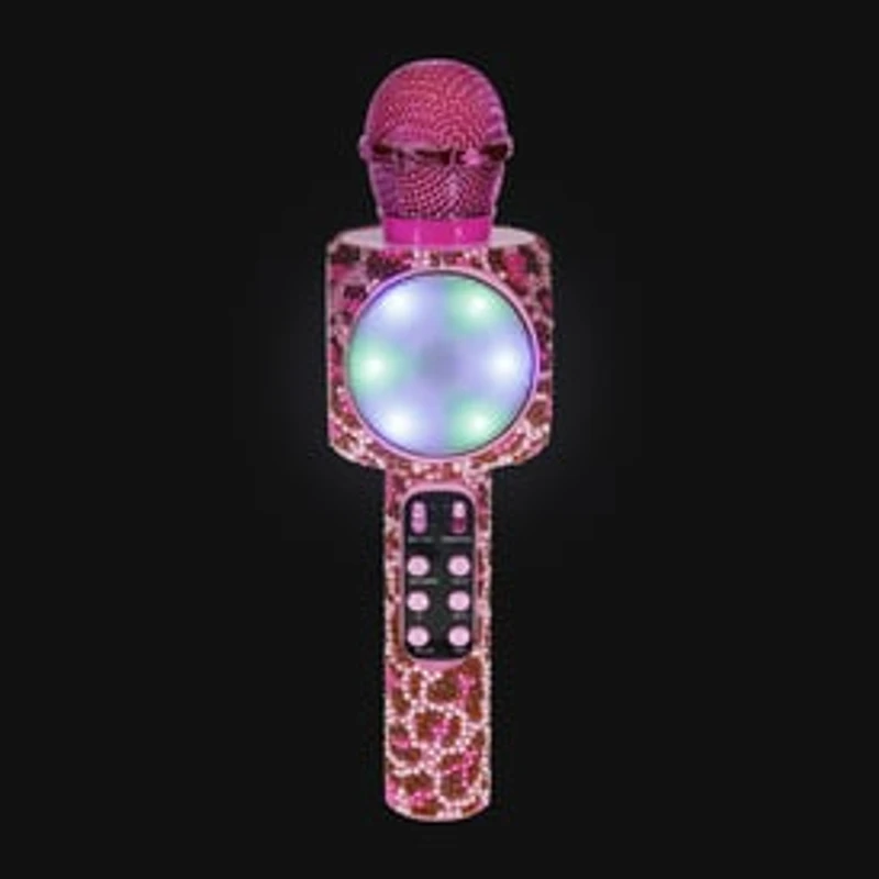 Karaoke Microphone