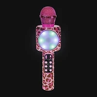 Karaoke Microphone