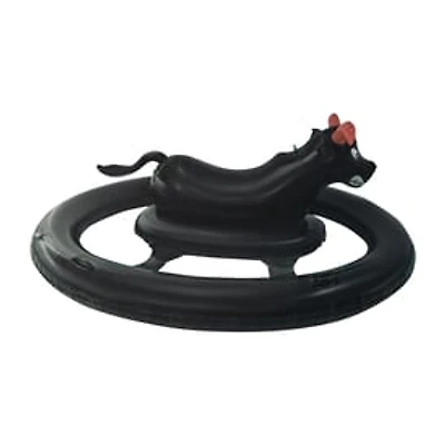 Bull Riding Float