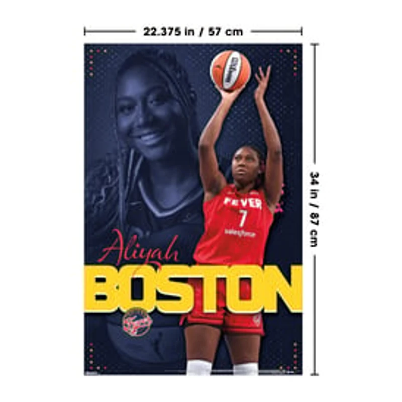 Wall Posters