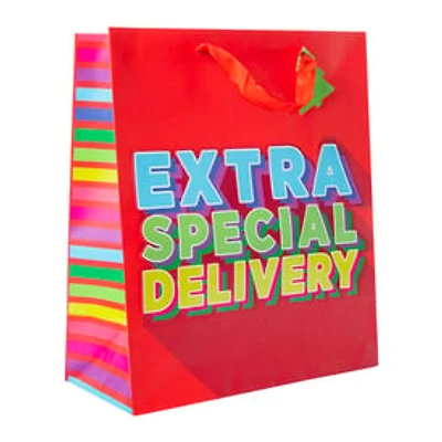 Large Gift Bag 10in x 12in