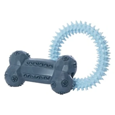 Rubber Chew Dog Toy 2-Pack