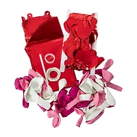 Valentine's Day Party Balloon Backdrop Set