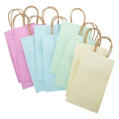 Small Pastel Kraft Gift Bags 8.35in x
5.2in 10-Count