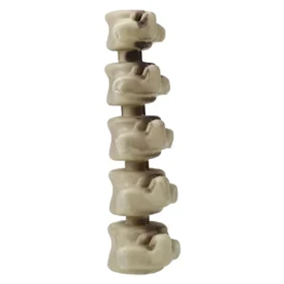 Halloween Skeleton Bone Decor