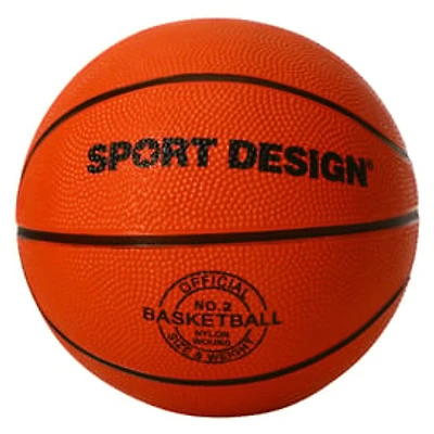 Size 2 Mini Basketball