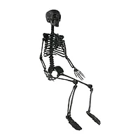 Posable Skeleton