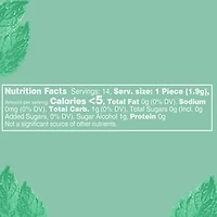 ORBIT Gum Sweet Mint Sugar Free Chewing Gum, Single Pack, 14 Piece