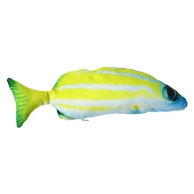 Flip & Flop Fish Toy For Cats