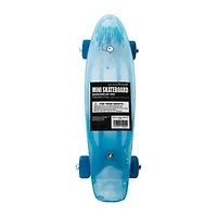 Mini Skateboard 17in