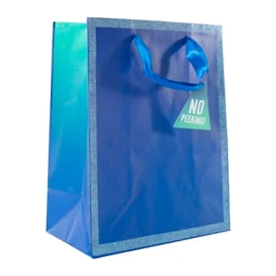 Medium Gift Bag 7in x 9in