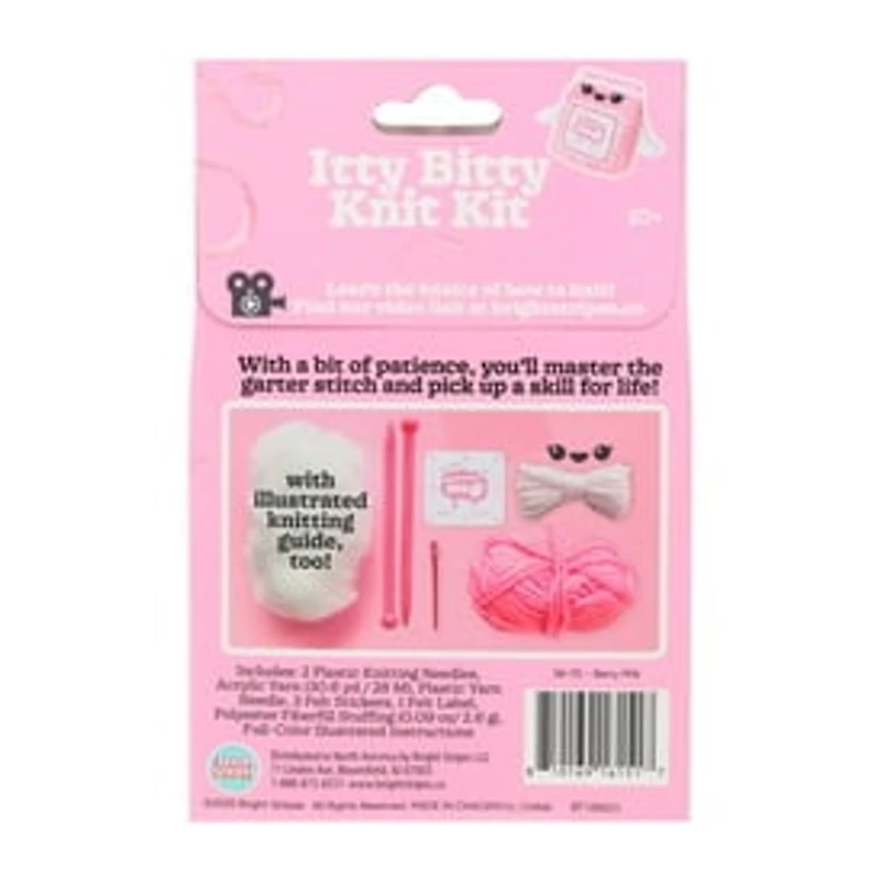 Itty Bitty Knit Kit Set