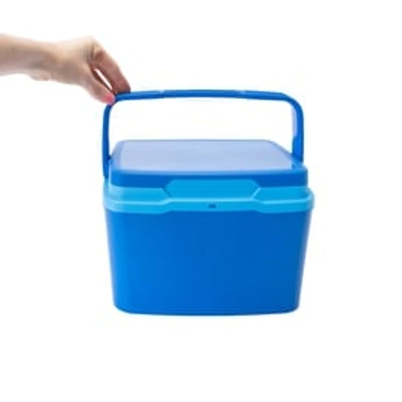 Mini Cooler