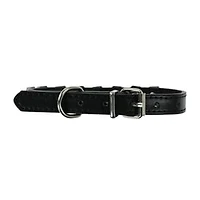 Rhinestone Dog Collar