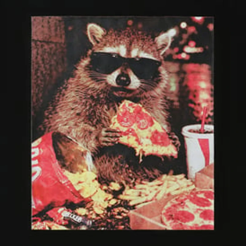 Pizza Raccoon Graphic Tee