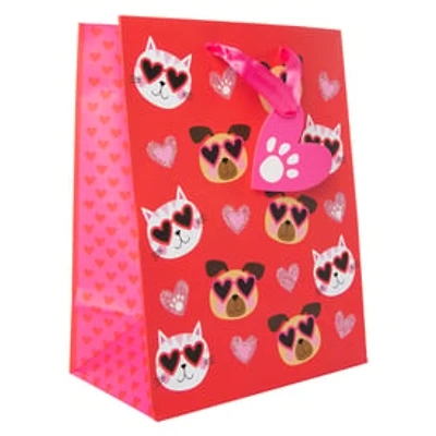 Medium Valentine’S Day Gift Bag 9in x 7in