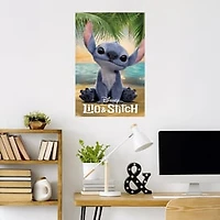 Wall Posters 22.3" x 34"