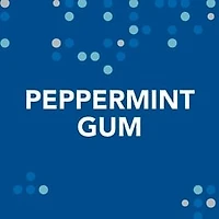 ORBIT Gum Peppermint Sugar Free Chewing Gum, Single Pack, 14 Piece