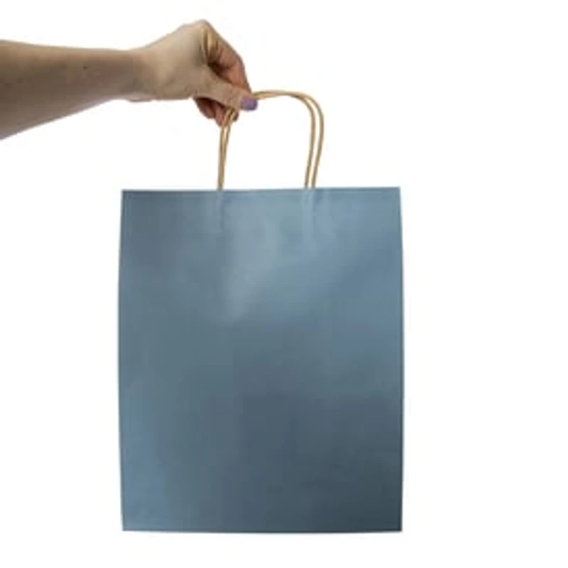 5-Count Large Kraft Gift Bags 13in x 10in