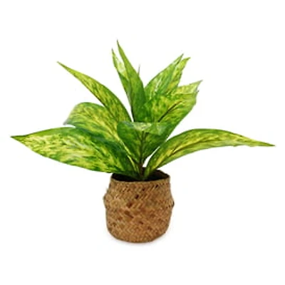 13in Faux House Plant Woven Basket Planter