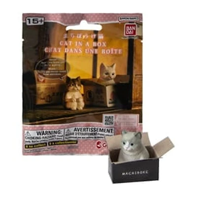 Cat In A Box (Styles May Vary)