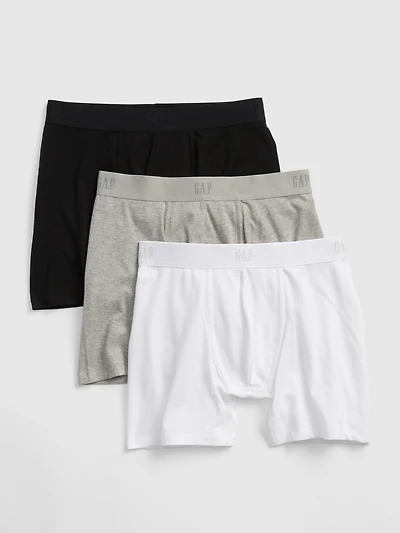 5" Boxer Briefs (3-Pack
