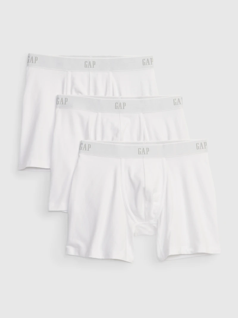 5" Boxer Briefs (3-Pack