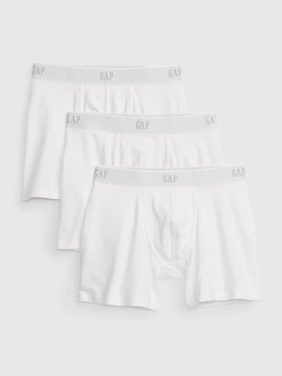 5" Boxer Briefs (3-Pack