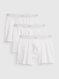 5" Boxer Briefs (3-Pack