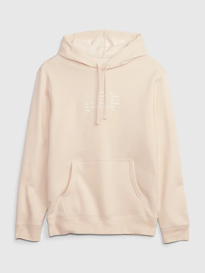 Gap Arch Logo Flag Hoodie