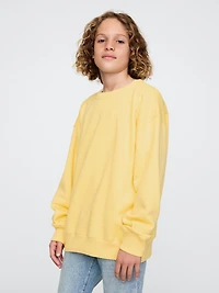 Kids VintageSoft Sweatshirt