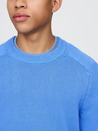 Raglan Crewneck Sweater