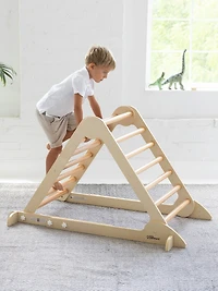 Learn N Climb Triangle
