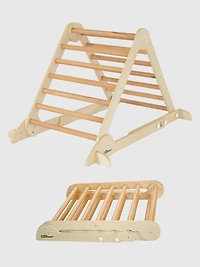 Learn N Climb Triangle