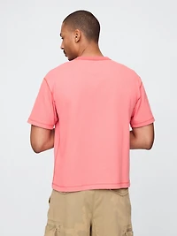 Adult Heavyweight Crop T-Shirt