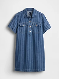 UltraSoft Denim Stripe Popover Mini Dress