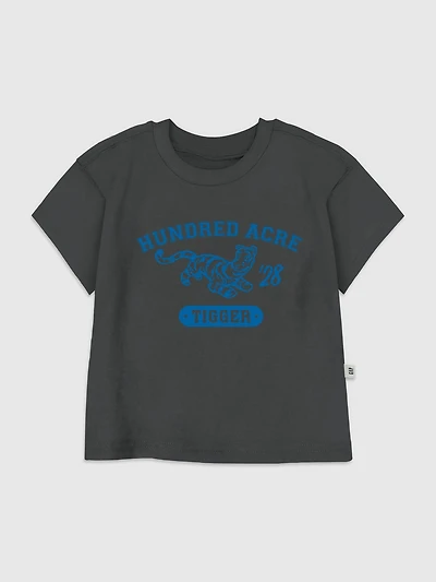 Toddler Winnie the Pooh Hundred Acre Tigger Graphic T-Shirt